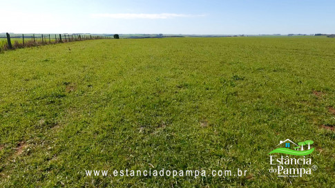 IMAGEM FIXA NA COXILHA.00_03_16_27.Quadro025_bc6de454086432891b6e9fafc3e9e61ad9a75565.jpg